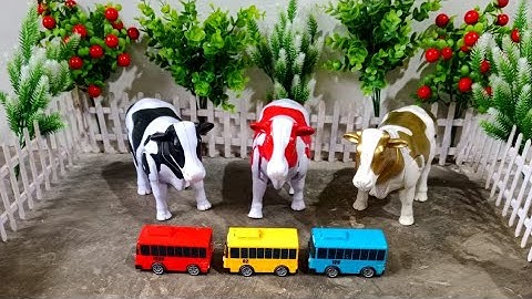 WADIDAU ‼️ PROSES POTONG SAPI KURBAN