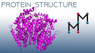 The Basics of Biomolecular Visualization