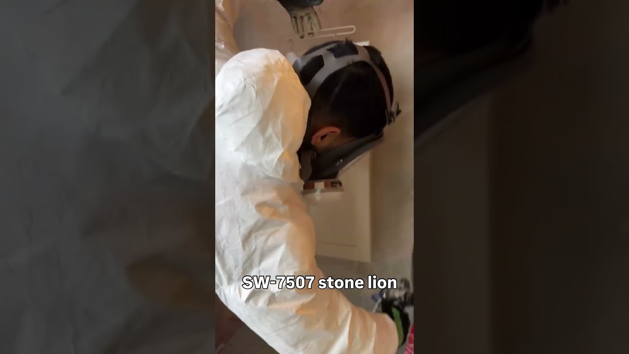 SW- 7507 Stone Lion. 20 sheen in Renner 765 