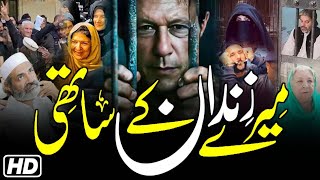 Mere Zindan K Sathi Tribute To All Pti Political Prisoners