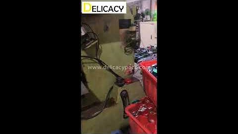 Servo feeding system for automatic fancy can making