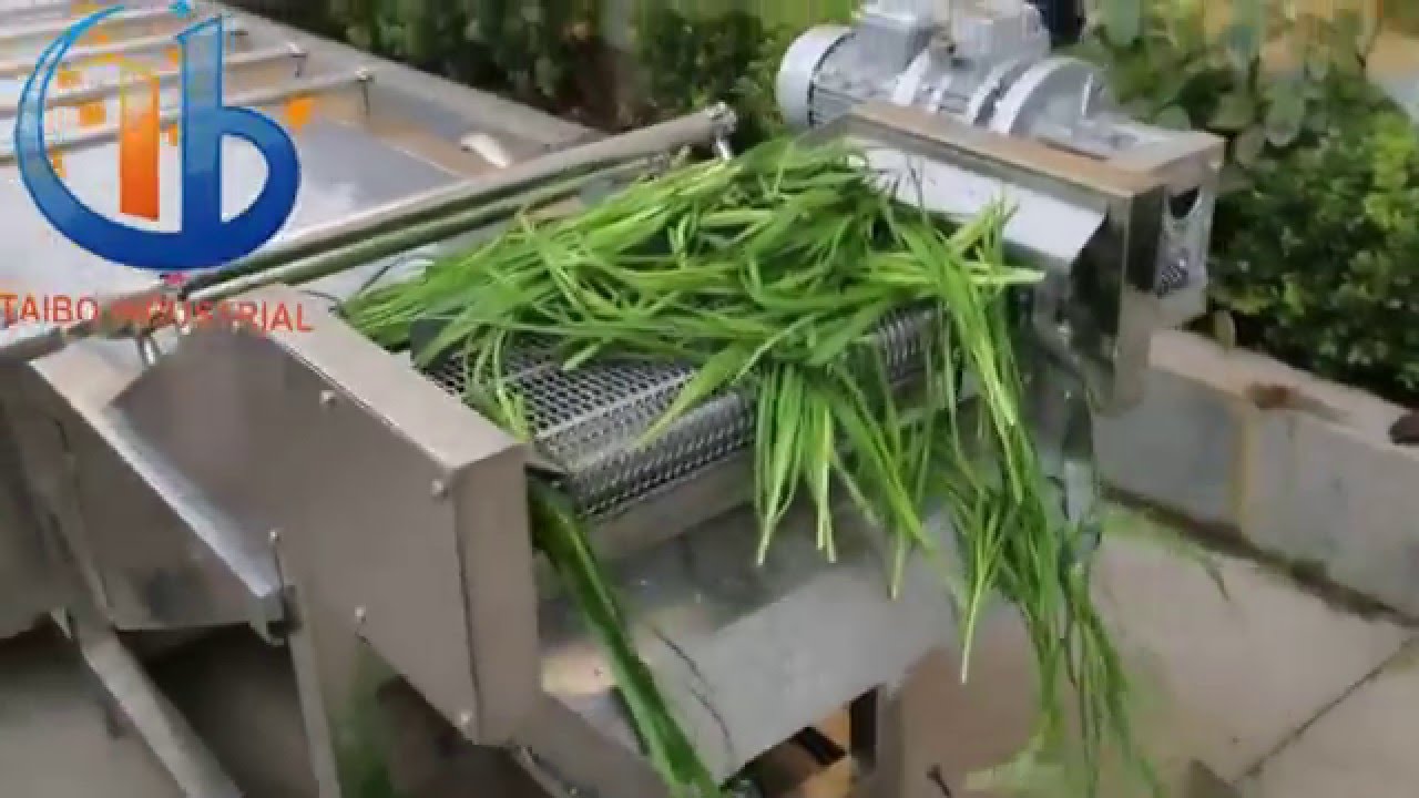 Leek Washing Machine - YouTube