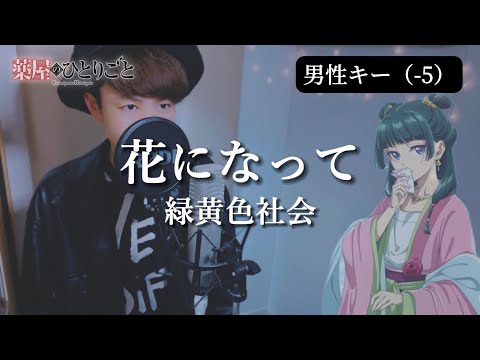 【男性キー（-5）】花になって - Be a flower - /緑黄色社会 （薬屋のひとりごと / The Apothecary Diaries）主題歌【歌ってみた】歌詞つき