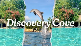 Experience Discovery Cove Orlando with a Toddler | All-Inclusive Luxury Water Park Tour Profile