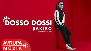 Mr.Dosso Dossi - Şakiro (Flamenco Remix) [] Resimi