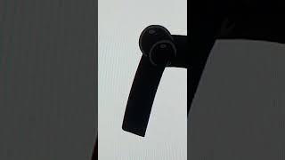 all butts found induced L's Butt