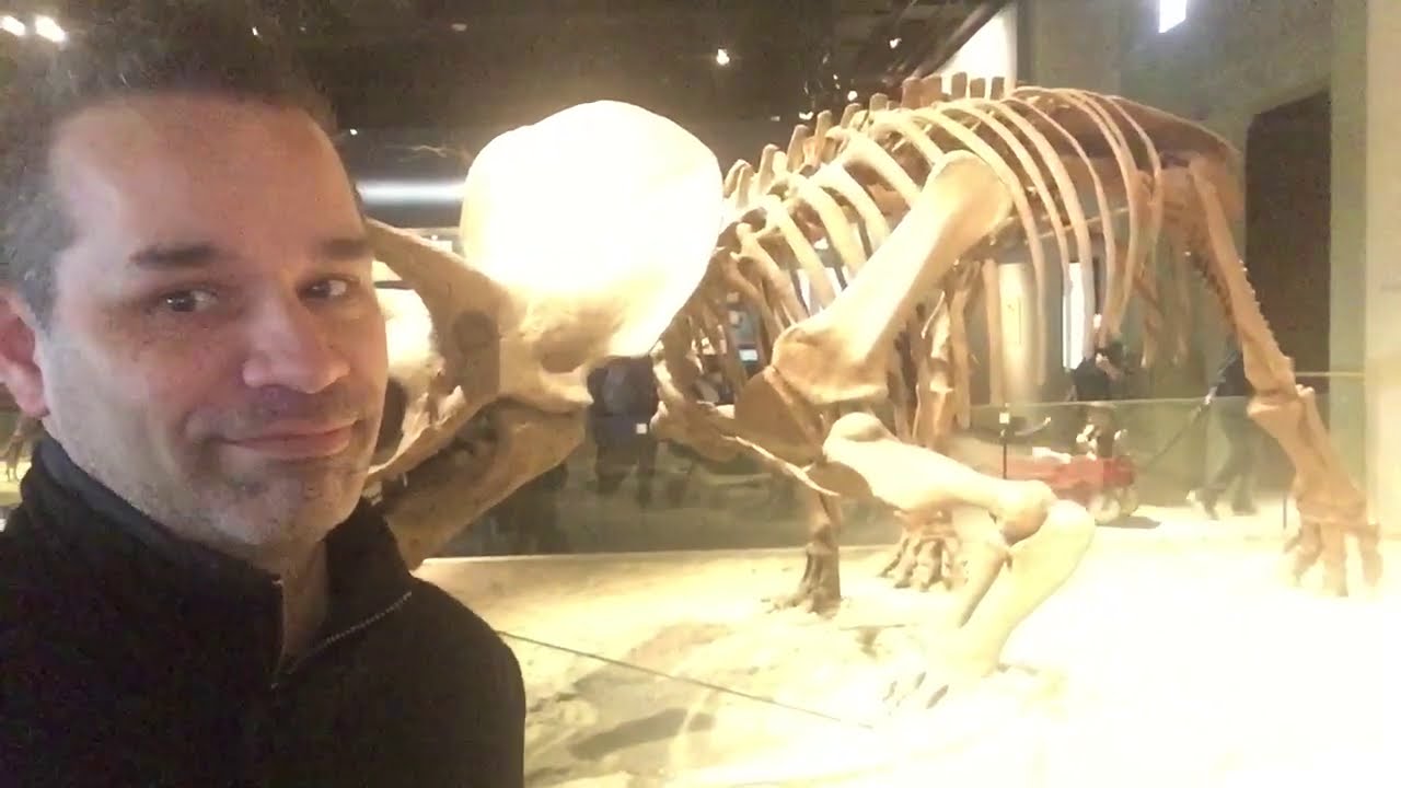 Turismo Geek - Museo Field de Historia Natural (Dinosaurios!!!)