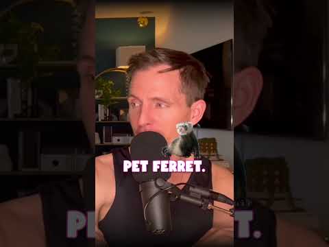Ferret People with @AndyHaynes - Rosebud Baker