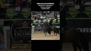 EROS DE LAS LEYENDAS TROCHA Y GALOPE #trochaygalope #horse #shortsvideo