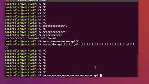 XServer problem - Multi input