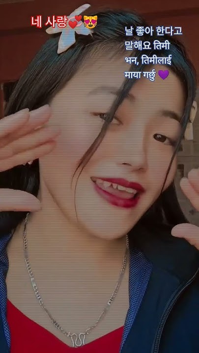 korean-song-translate-to-nepali-meenarai