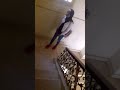 مستحيل العيشه دي تبقي بعدك😍 مستحيل العيشه دي تبقي بعدك😍