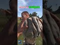 #rust