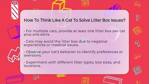 How To Think Like A Cat To Solve Litter Box Issues? - Happy Cat Handbook