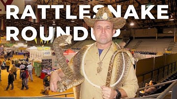 🐍 The World’s Largest Rattlesnake Roundup | Sweetwater, Texas 🏜️