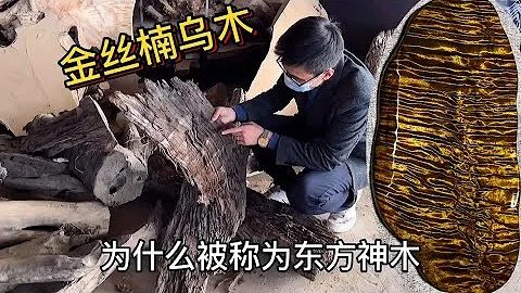 花十几万买了一堆金丝楠乌木，几年后仅剩十分之一，大家却说太值了“老蒋根雕” - 天天要闻