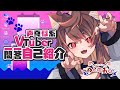 【自己紹介】声真似系VTuber一問一答自己紹介【🐈ねこね🐾】