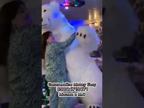 #cute #танцы #свадьба #праздник #поздравление #медведь #деньрождения #dance #funny #топ
