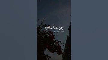 قران كريم#أطمئن#قران_كريم#اكسبلور#quran_alkarim#islamic_video#viral #foryoupage#explore#لايك#fypシ゚