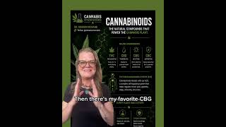 What are Cannabinoids in Cannabis?