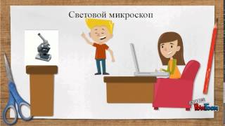 Увеличительные приборы Увеличительные приборы