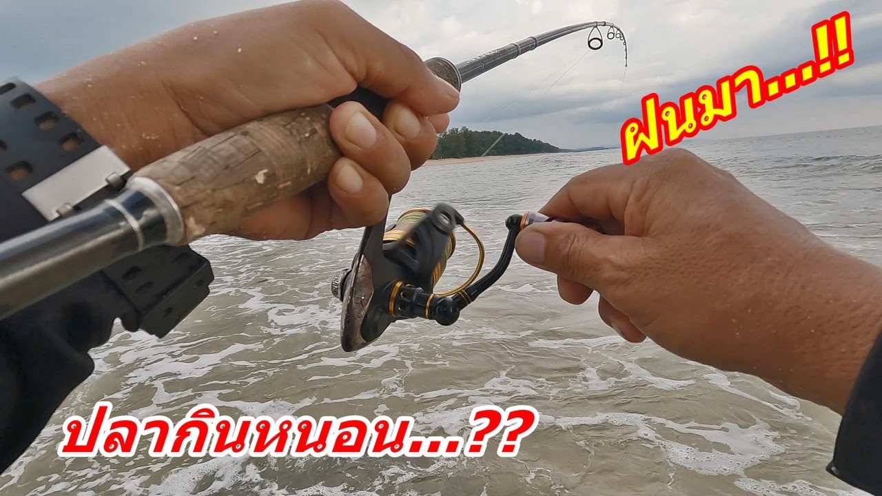 ปลามีไซส์ในวันฝนตกหนัก เหยื่อหนอนยางอาจิ