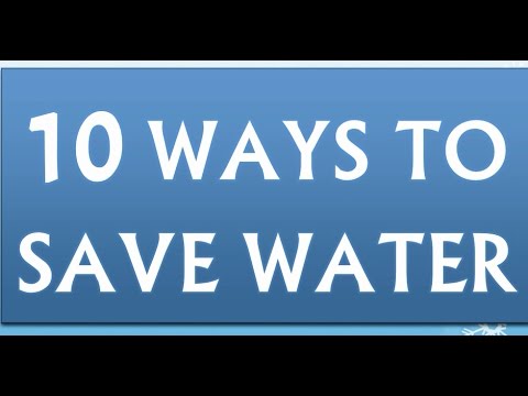 Essay about how we can save water