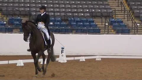 Janna Dyer - Lexington Spring Dressage 2016 - Satu...