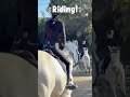 Daily vlog! #horse #fypシ #equestrianrider #equestrian #horsegirl