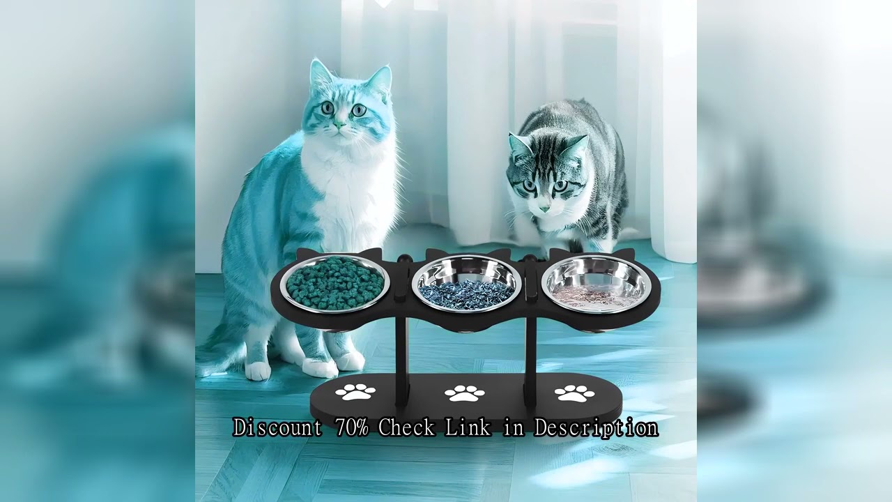 Elevated Cat Bowls 15° Tilted Raised Cat Food Bowls with Wooden Stand Anti Vomiting 3 Stainless Stee