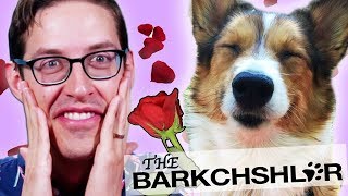 Keith Challenges 25 Dogs To Recreate The Bachelor