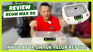 REVIEW INKUBATOR MEWAH || RCOM MAX 90