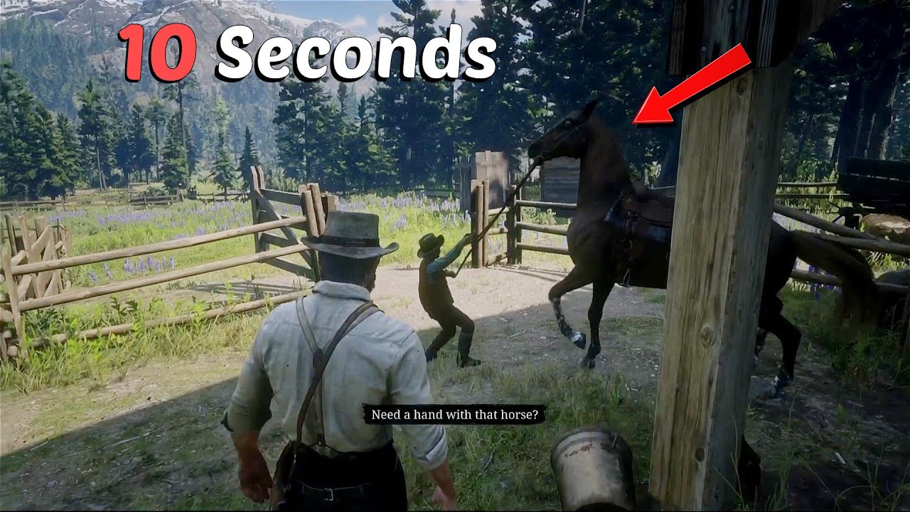 The Proper Way To Tire Out Jeremiah In 10 Seconds (Calm Duncan's Horse ...