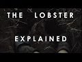 The lobster 2015 explained