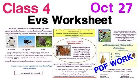 Class 4 Victers Evs Worksheet Oct 27/STD 04 VICTERS EVS/Std 4 environmental studies/victers channel