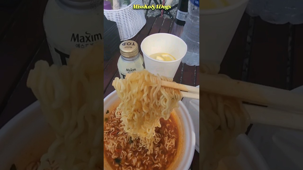 캠핑장 최고의 조식⁉️ | Best breakfast for camping! | 솔캠 | Cavalier King Charles Spaniel