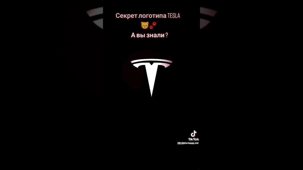 Логотип тесла кошачий нос