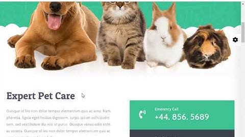 6.3 - Avada Premium Theme install and Customize Bangla Tutorial by Learn With Ashik