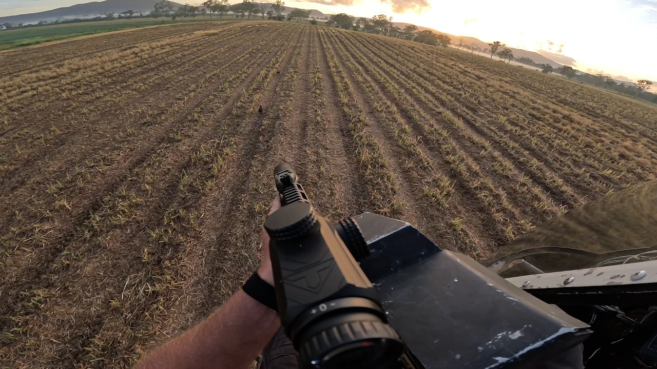 Aerial Pig Control [] Pig Operation [] North QLD