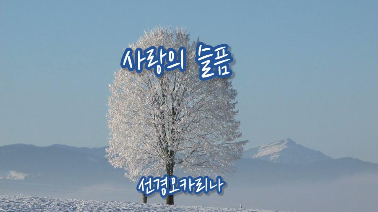 사랑의 슬픔(Sadness of love 이치현과 벗님들) 양선경 Ocarina Cover 사랑의 슬픔(Sadness of love 이치현과 벗님들) 양선경 Ocarina Cover