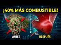 La CHOCANTE RAZÓN por la que se pintan los barcos de rojo por debajo del nivel del agua