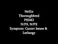 Symptoms Of PSSM2- Canter Issues &amp; Lethargy (Nellie)