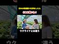 ウクライナの避難民に聞いた！「日本の苺農園で働いてたらこれに驚いた」#ウクライナ人 #外国人 ウクライナ避難民 #外国人の反応