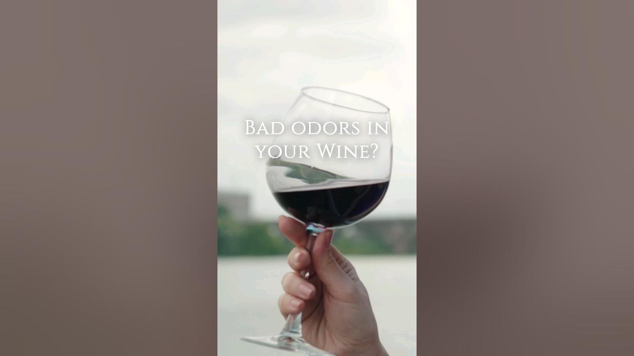 If the wine smells bad to you, solution 😉 shorts wine organicwine healthylife YouTube