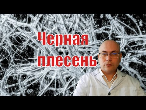 Черная плесень - насколько опасен мукоромикоз из Индии