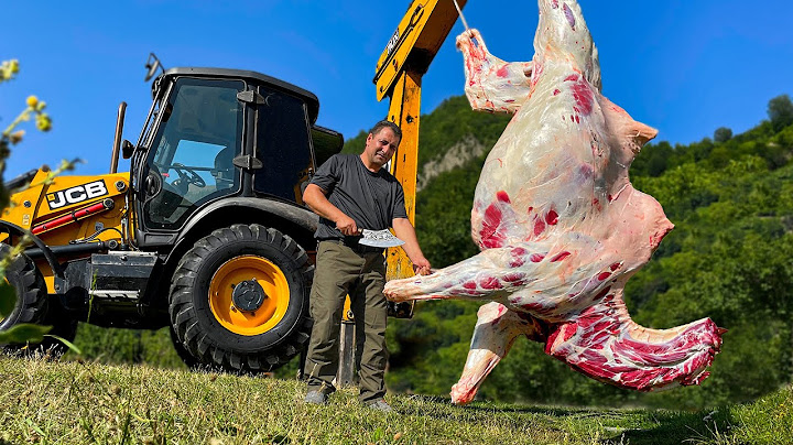 Chef Tavakkul Cooks a Giant Camel! Grand Gourmet Meat Lovers Dish Cooked in the Wilderness