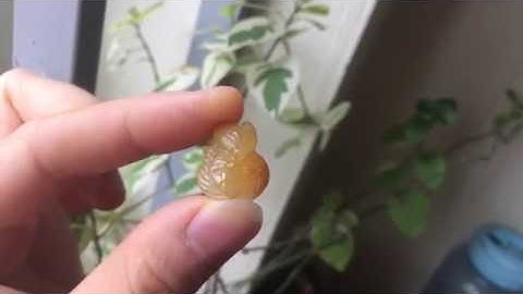 Mặt Dây Hồ Ly Thạch Anh Tóc Vàng