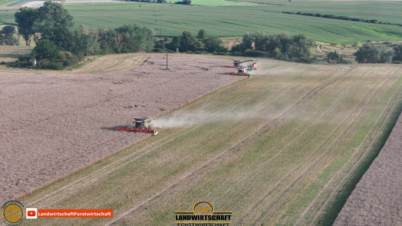 Die neue CLAAS Lexion Mähdrescher Generation 2026 3 Lexion 8600 beim Raps Dreschen Agrar Lübbersruh