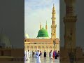 Quran Urdu translation🇸🇦#shorts#quranurdutranslation #short #youtuber #short #shortsfeed #subscribe