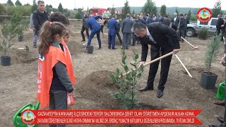 24 Kasim Öğretmenler Günü Hatira Ormanina Şehi̇t Öğretmen Ayşenur Alkan Adina 70 Fi̇dan Di̇ki̇ldi̇